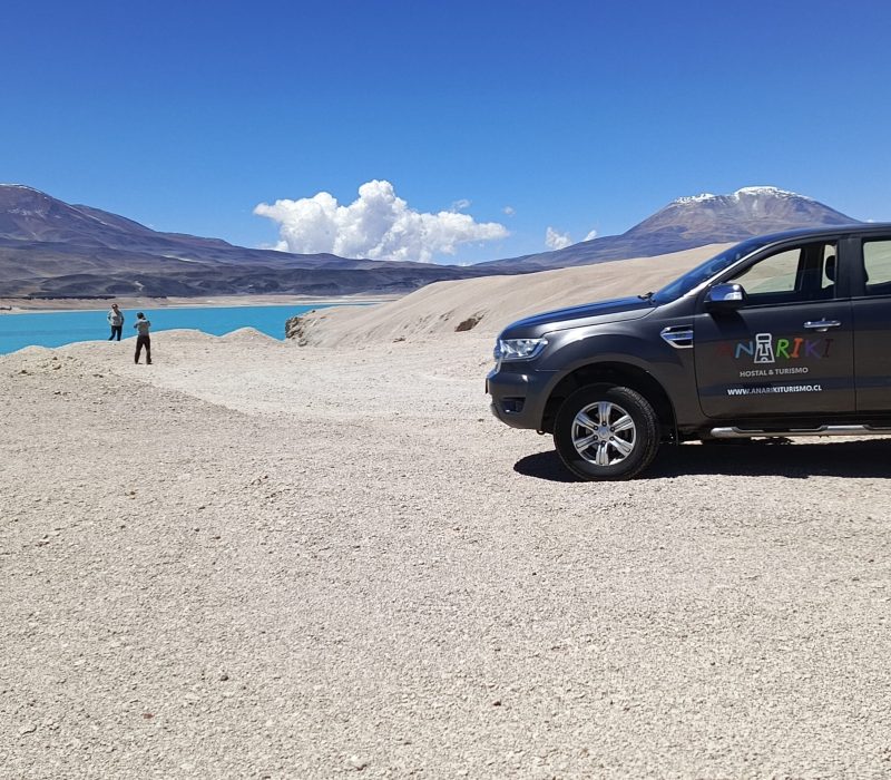 IMG_20250228_141338_715