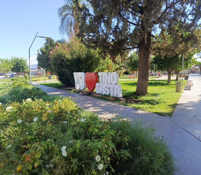 IMG_20250302_111209_485