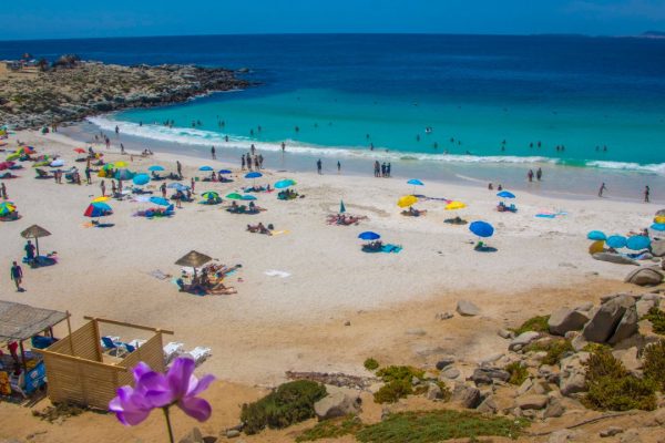 WhatsApp Image 2021-12-23 at 14.52.31 (3)