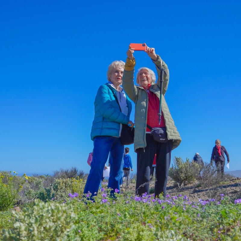 WhatsApp Image 2025-09-27 at 21.36.40