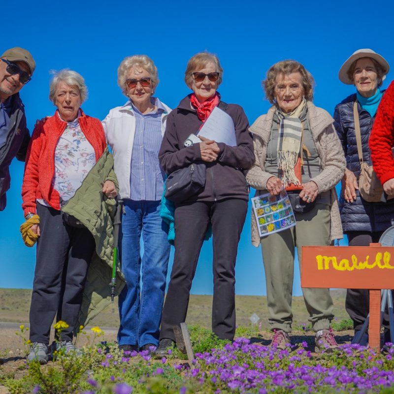 WhatsApp Image 2025-09-27 at 21.36.41 (1)