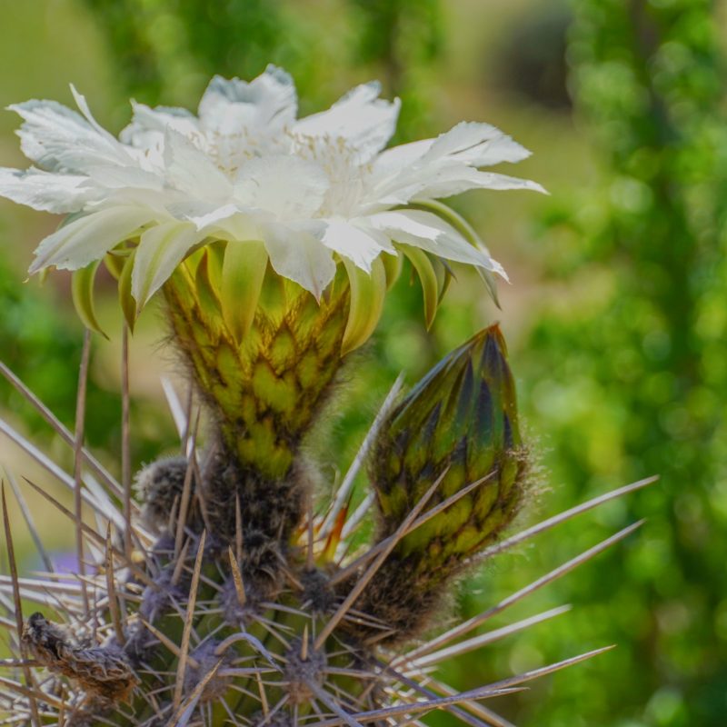 WhatsApp Image 2025-09-27 at 21.36.48 (1)