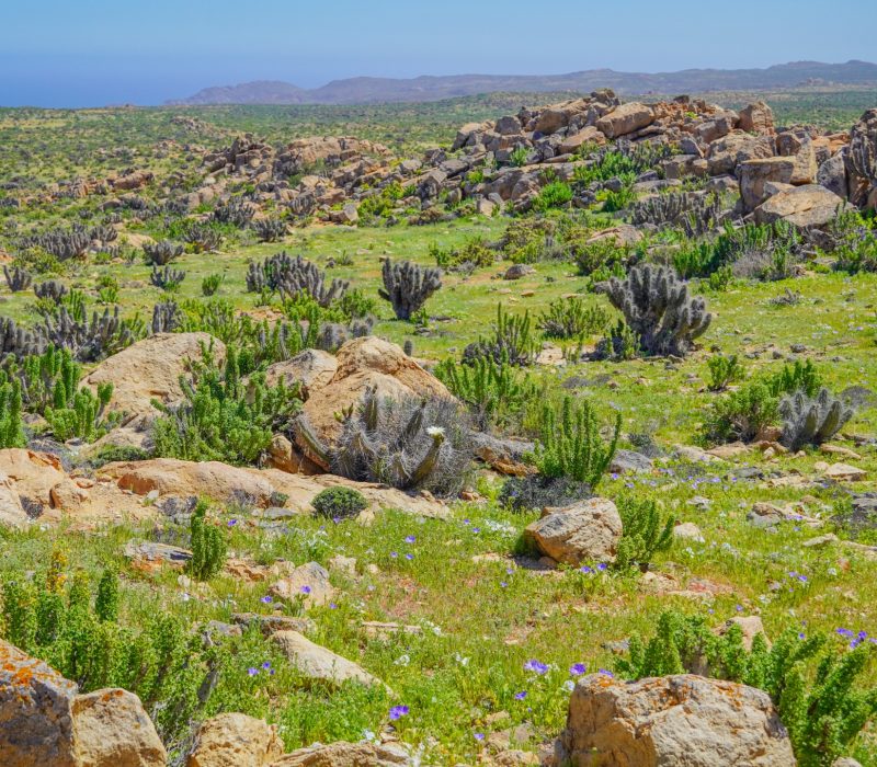 WhatsApp Image 2025-09-27 at 21.36.48