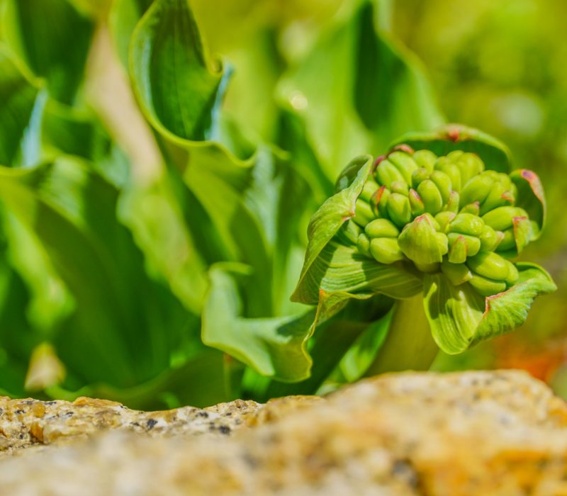 WhatsApp Image 2025-09-27 at 21.36.52 (1)