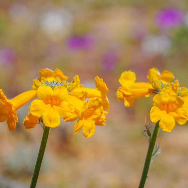 WhatsApp Image 2025-10-13 at 11.59.35 (1)