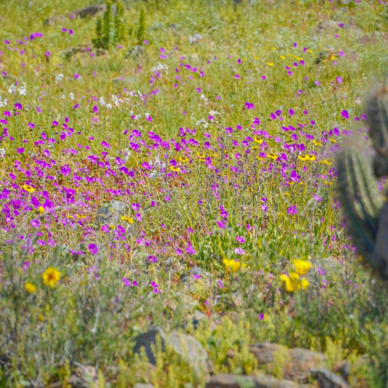 WhatsApp Image 2025-10-13 at 11.59.35