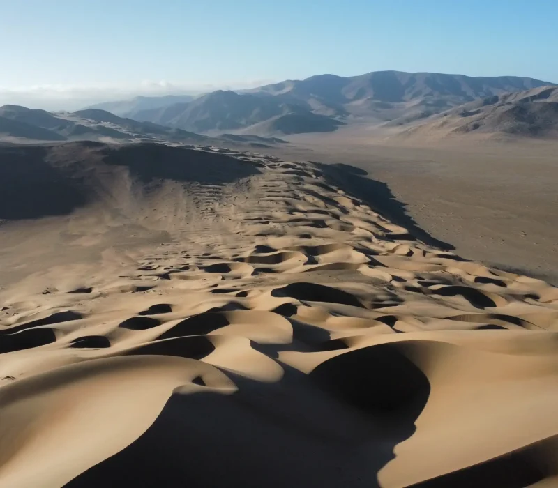 dji_fly_20221116_185358_15_1668635682178_photo_optimized (1)